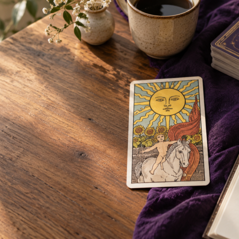 Tarot do Dia
